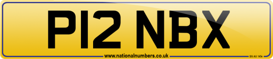 P12 NBX