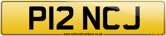 P12 NCJ