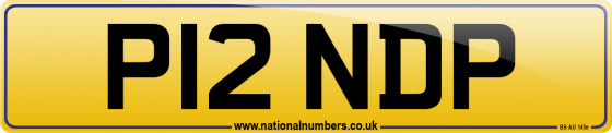 P12 NDP