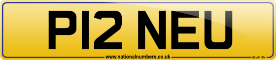 P12 NEU
