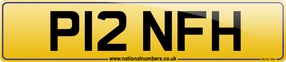 P12 NFH