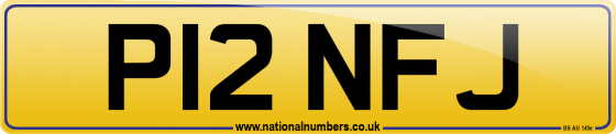 P12 NFJ