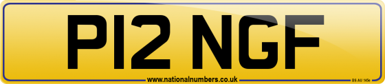 P12 NGF