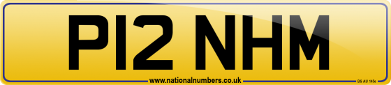 P12 NHM