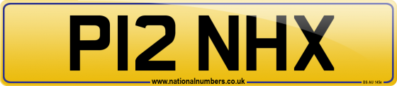 P12 NHX