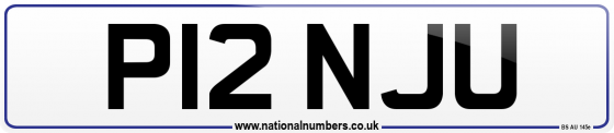 P12 NJU