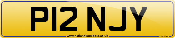 P12 NJY