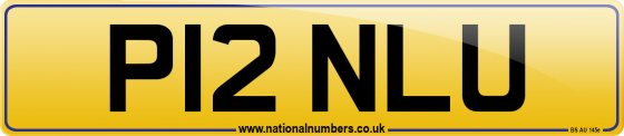 P12 NLU