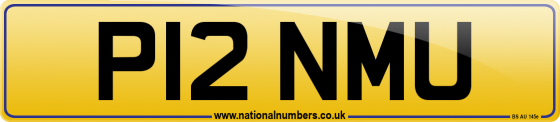 P12 NMU
