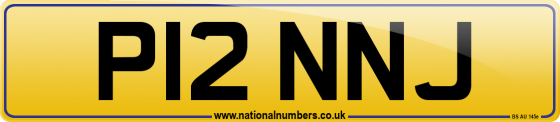 P12 NNJ