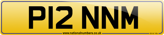 P12 NNM