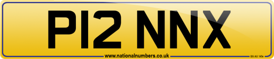 P12 NNX