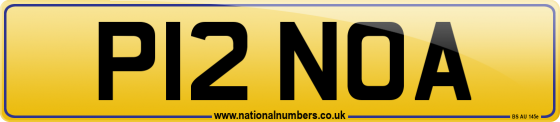 P12 NOA