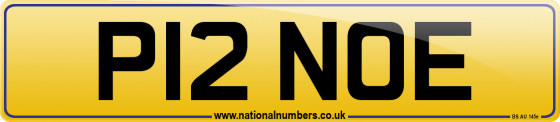 P12 NOE