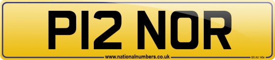 P12 NOR