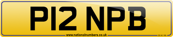 P12 NPB