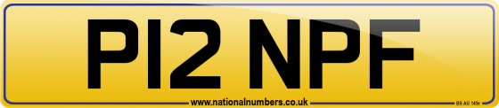 P12 NPF
