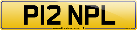 P12 NPL