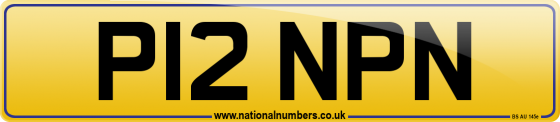 P12 NPN