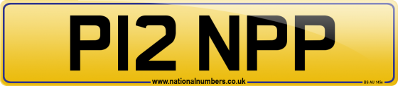 P12 NPP