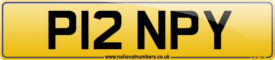 P12 NPY