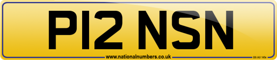 P12 NSN