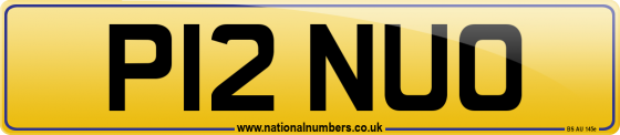 P12 NUO