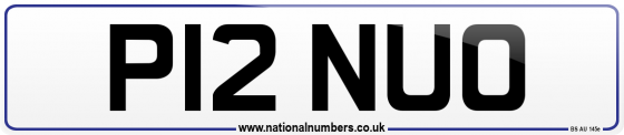 P12 NUO