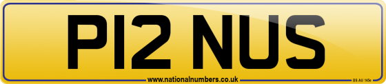 P12 NUS