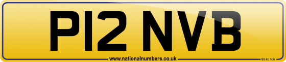 P12 NVB