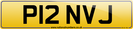 P12 NVJ