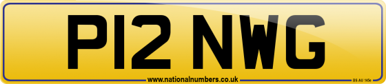 P12 NWG