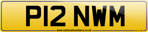 P12 NWM