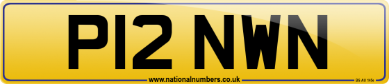 P12 NWN