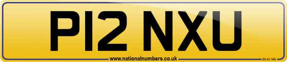 P12 NXU