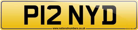 P12 NYD