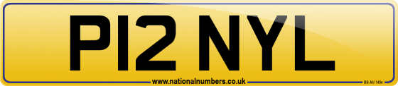 P12 NYL