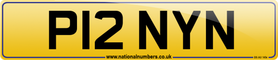 P12 NYN