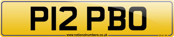 P12 PBO