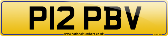 P12 PBV