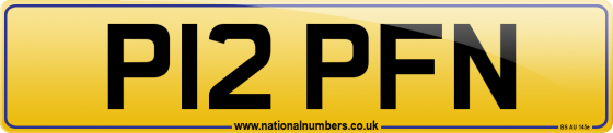 P12 PFN