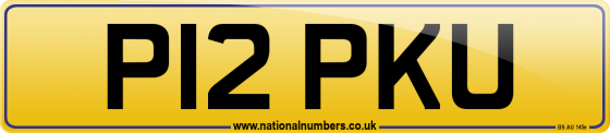 P12 PKU