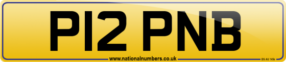 P12 PNB