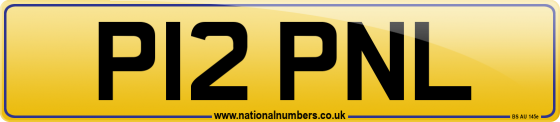 P12 PNL