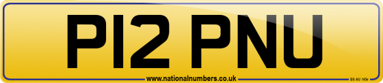 P12 PNU