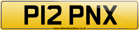P12 PNX