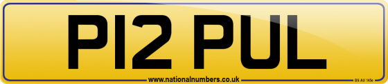 P12 PUL