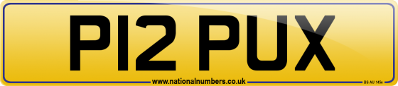 P12 PUX