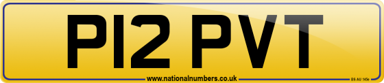 P12 PVT