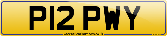 P12 PWY